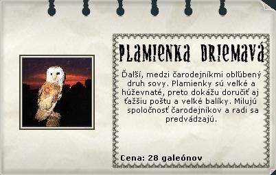 Obrázok