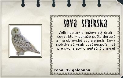 Obrázok
